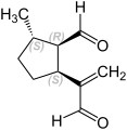 (1R,2S,5S)-(–)-Dolichodial (A)