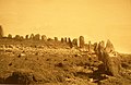 Partie orientale du cromlech d'Er Lannic (photographie de Zacharie Le Rouzic).