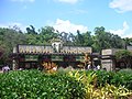 Miniatura para Disney's Animal Kingdom