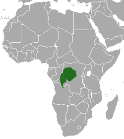 Distribución del mangabey de cresta negra