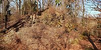 Bild 11: Ansicht des Burgstalls aus südöstlicher Richtung. Im Vordergrund der Halsgraben, dahinter die Felsen der Hauptburg