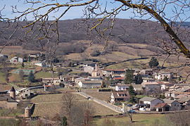 A general view of Chasselas