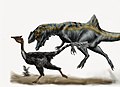 Pelecanimimus and Concavenator