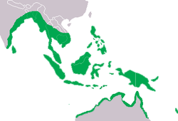 Distribución de C. porosus[2]​