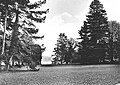 Parc du villa Bloch et lac Léman, ca. 1923.