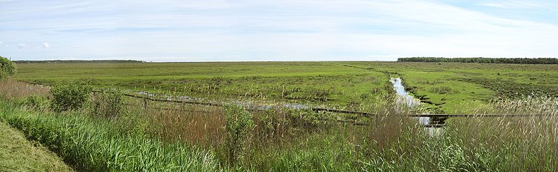 Panorama över Ljungen på Falsterbonäset med Ammerännan.