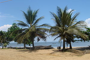 Kribi beach, 2006