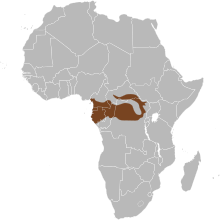 Map of Africa showing highlighted range (in brown) covering a portion of western Central Africa