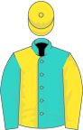 Turquoise and yellow (halved), reversed sleeves, yellow cap