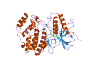 1wzy: Crystal structure of human ERK2 complexed with a pyrazolopyridazine derivative