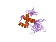 2e19: Solution structure of the homeobox domain from human NIL-2-A zinc finger protein, transcription factor 8