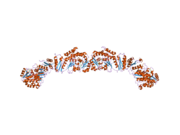 2jfk: STRUCTURE OF THE MAT DOMAIN OF HUMAN FAS WITH MALONYL-COA