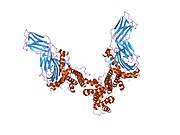 2oje: Mycoplasma arthritidis-derived mitogen complexed with class II MHC molecule HLA-DR1/HA complex in the presence of EDTA