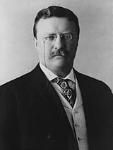 Black-and-white photographic portrait of Theodore Roosevelt