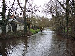 la Bourne à "Winterbourne Dauntsey".