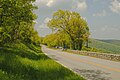 Shenandoah National Park