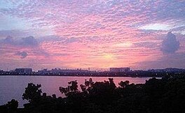 Sunset view from the nearby Teban Gardens. Pandan Reservoir is shown, partially hidden in the foreground by trees. In the background, the skyline of the surrounding housing estates.