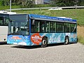 Photographie en couleurs d’un midibus aux couleurs des lignes des plages.