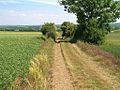 Chemin Haussé dans la plaine de Caen.