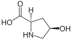 (2R,4R)-4-Hydroxyproline