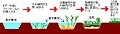 2006年10月1日 (日) 22:46時点における版のサムネイル