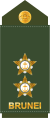 Leftenan (Royal Brunei Land Force)[18]