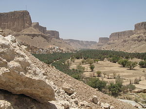 Wadi Dawan