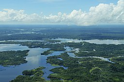 Nära Manaus