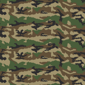 Camouflage Centre-Europe