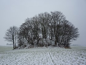 Image illustrative de l’article Tumulus d'Avennes