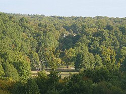 Image illustrative de l’article Bois de Bel-Air (Charente)