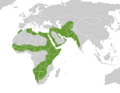 Caracals distribution