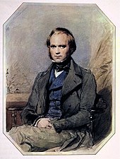 Three-quarter-length portrait of Charles Darwin aged about 30, with straight brown hair receding from his high forehead and long side-whiskers, smiling quietly, in wide lapelled jacket, waistcoat and high collar with cravat