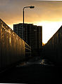 Clyde flats at sunset