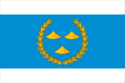 Flag of Nizhneudinsky District