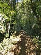 Le sentier, à Abjat-sur-Bandiat