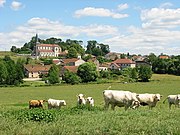 Troupeau à Grandvillers