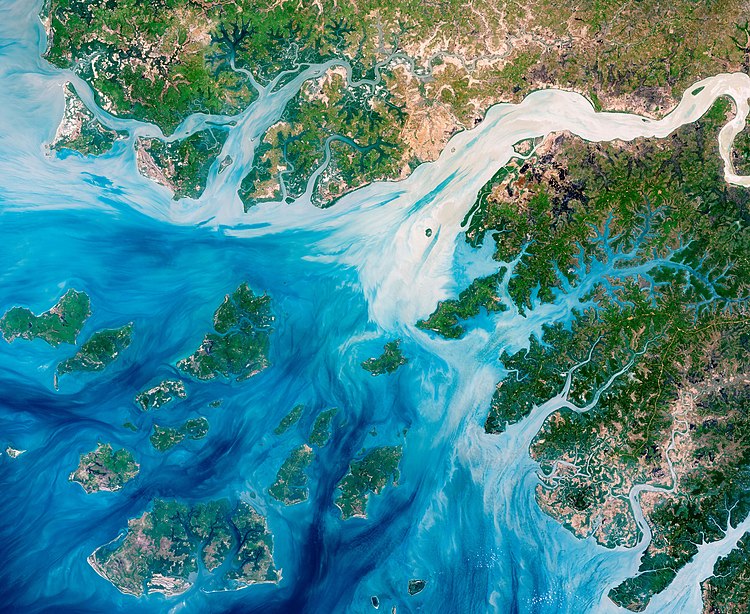 Estuaries near the coast of Guinea-Bissau branch out like a network of roots from a plant. Show another