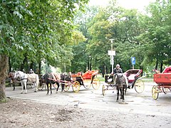 Horse carriage at Vrelo Bosne
