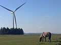 Horse grazing near the Pencader wind turbine