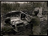 M15 with its tail folded forward in a trench.