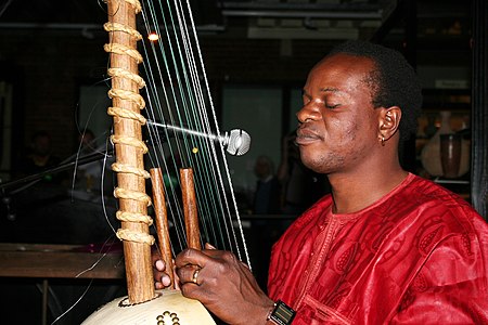 Jali Fily Sissokho playing a 22-string kora, tuned with konso string terminations and strung with nylon monofilament strings, 2008.