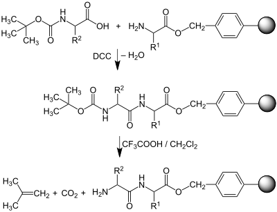 Peptidpropagation: Bildung eines immobilisierten Dipeptidesters.