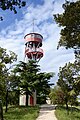 Tour d'observation, Mont Bouquet (5 juin 2016)