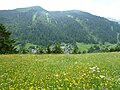 Morgins, vue depuis le chemin de Sépaz