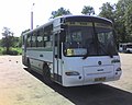 PAZ-4230 "Aurora" a Gatchina