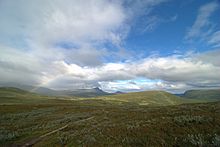 Photo de la lande de Vindelfjällen et de ses prairies.