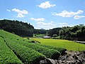 2016年8月31日 (水) 10:40時点における版のサムネイル