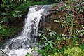 Tributary of Swaines Creek