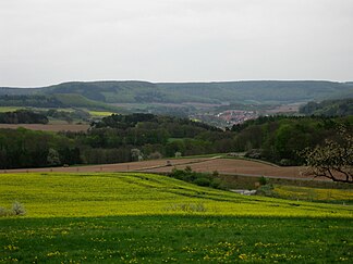 Im Bildhintergrund der Heiligenstädter Stadtwald südöstlich von Uder